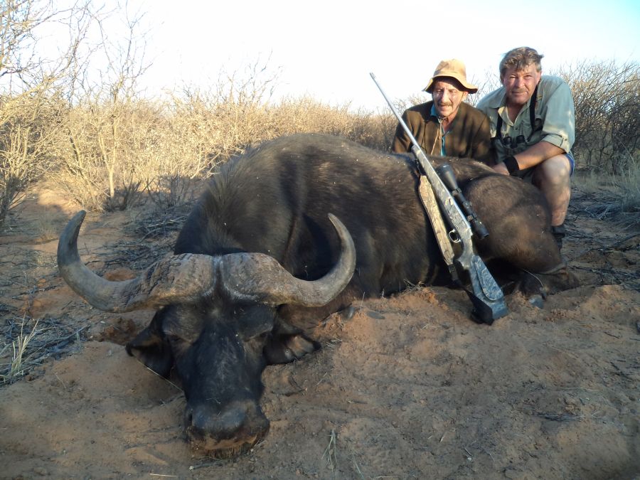 Buffalo hunting Namibia