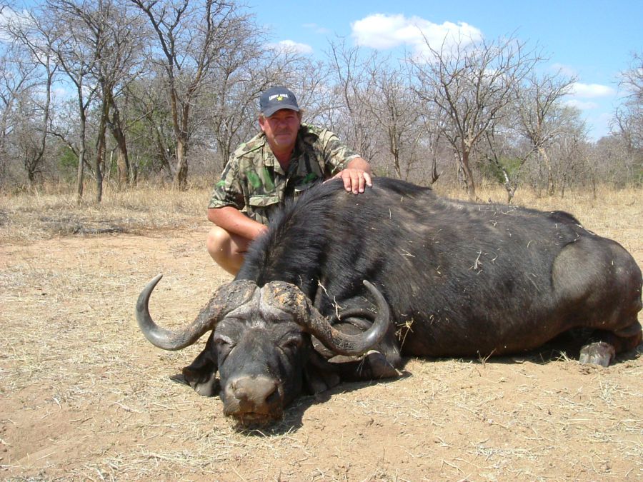Buffalo hunting Namibia