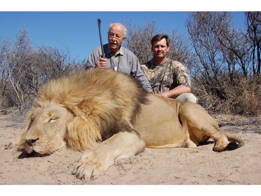 Lion hunting Namibia