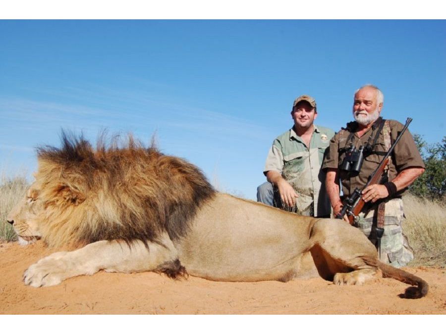 Sable hunting Namibia