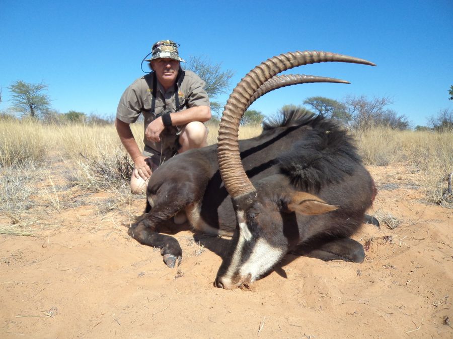 Oryx hunting Namibia